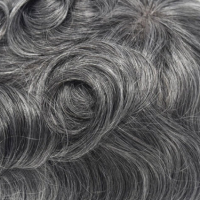 #11B 70% Grijs Echt haar