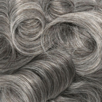 #4 70% Grijs Echt haar