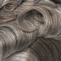 #7 70% Grijs Echt haar